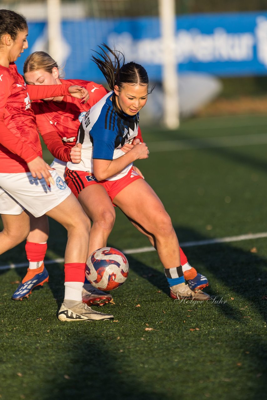 Bild 252 - wBJ Hamburger SV - Holstein Kiel : Ergebnis: 8:0